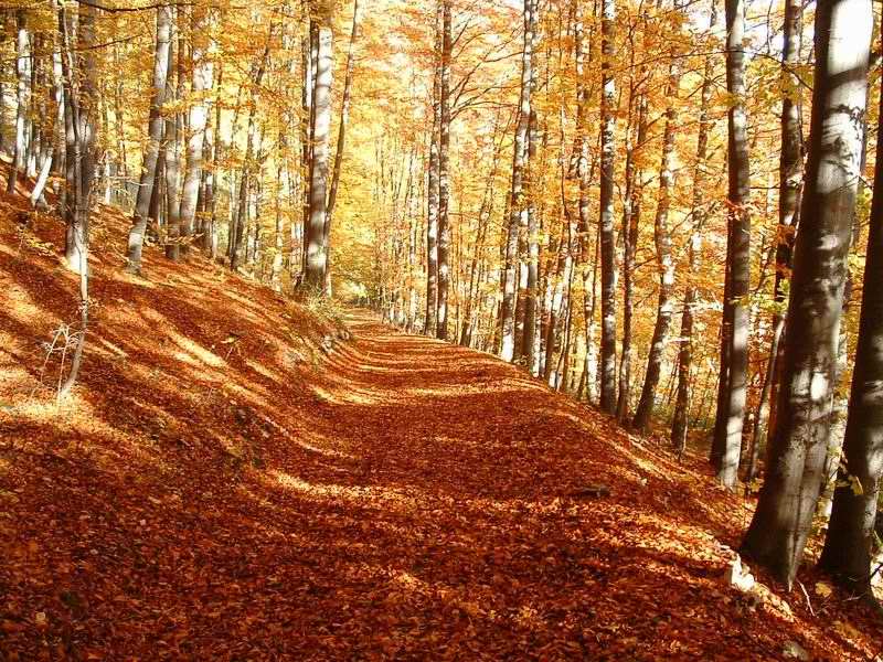 Opet krasna priroda a podzimni barvy.