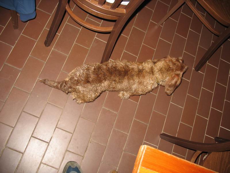 EuroHry Doksy 2006