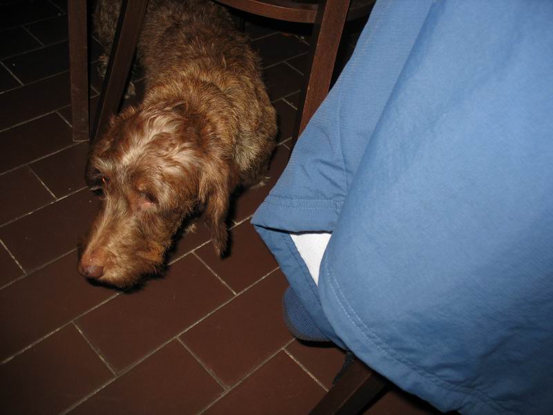 EuroHry Doksy 2006