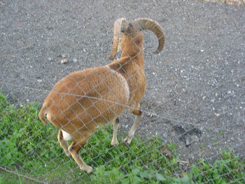 EuroHry Doksy 2006