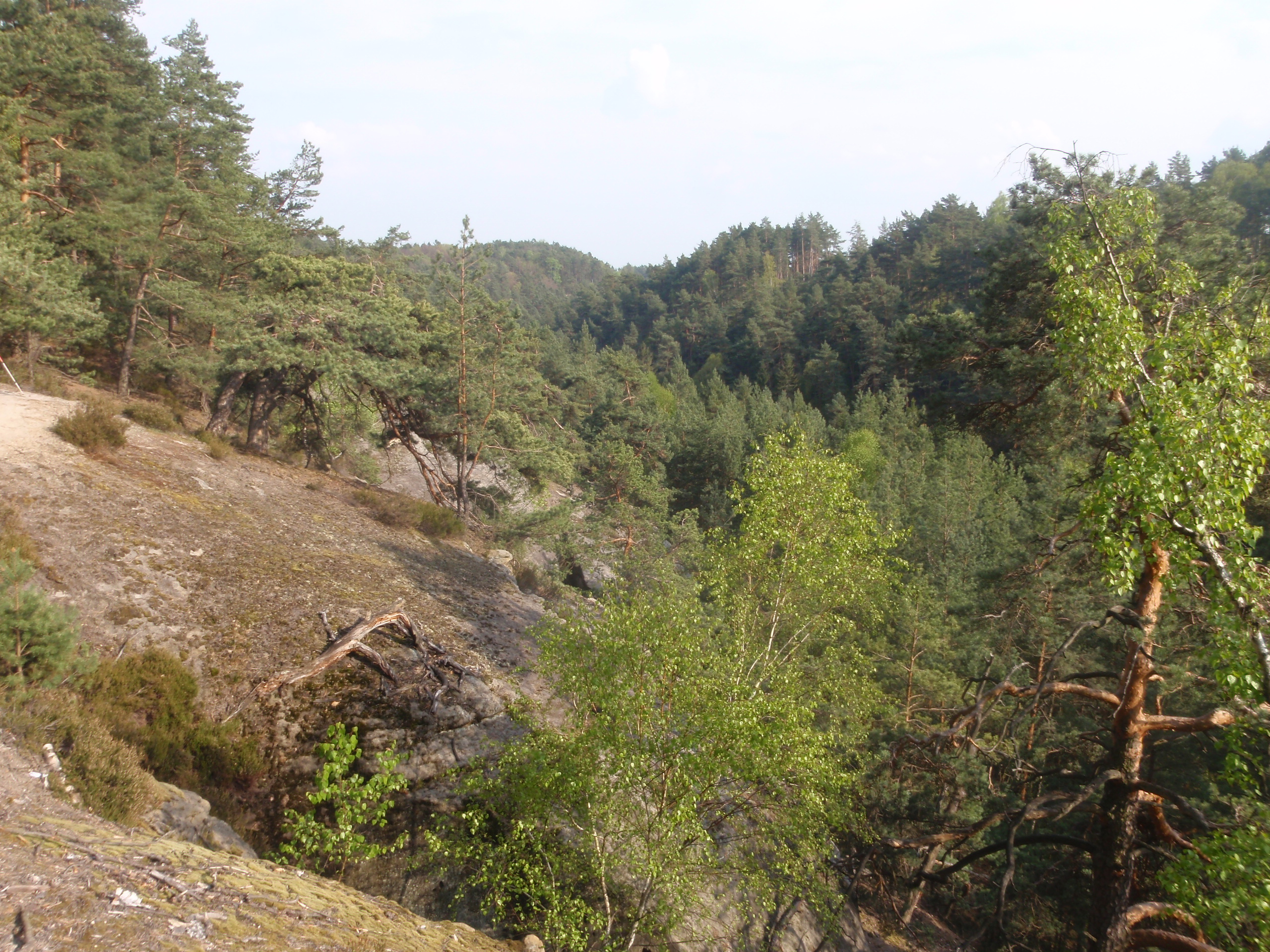 Martinské stěny