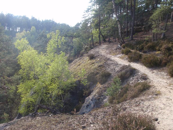 Kokořínsko 2014