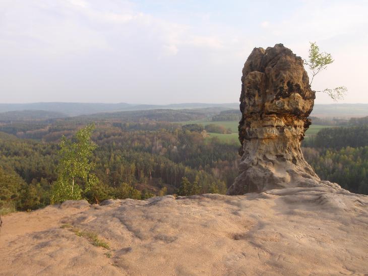 Čáp