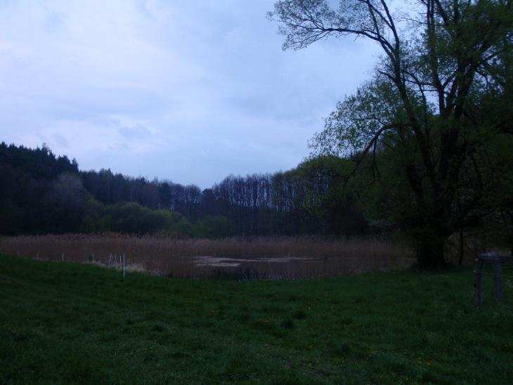 Kokořínsko 2014