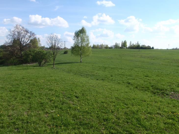 I takovéto louky jsme procházeli.