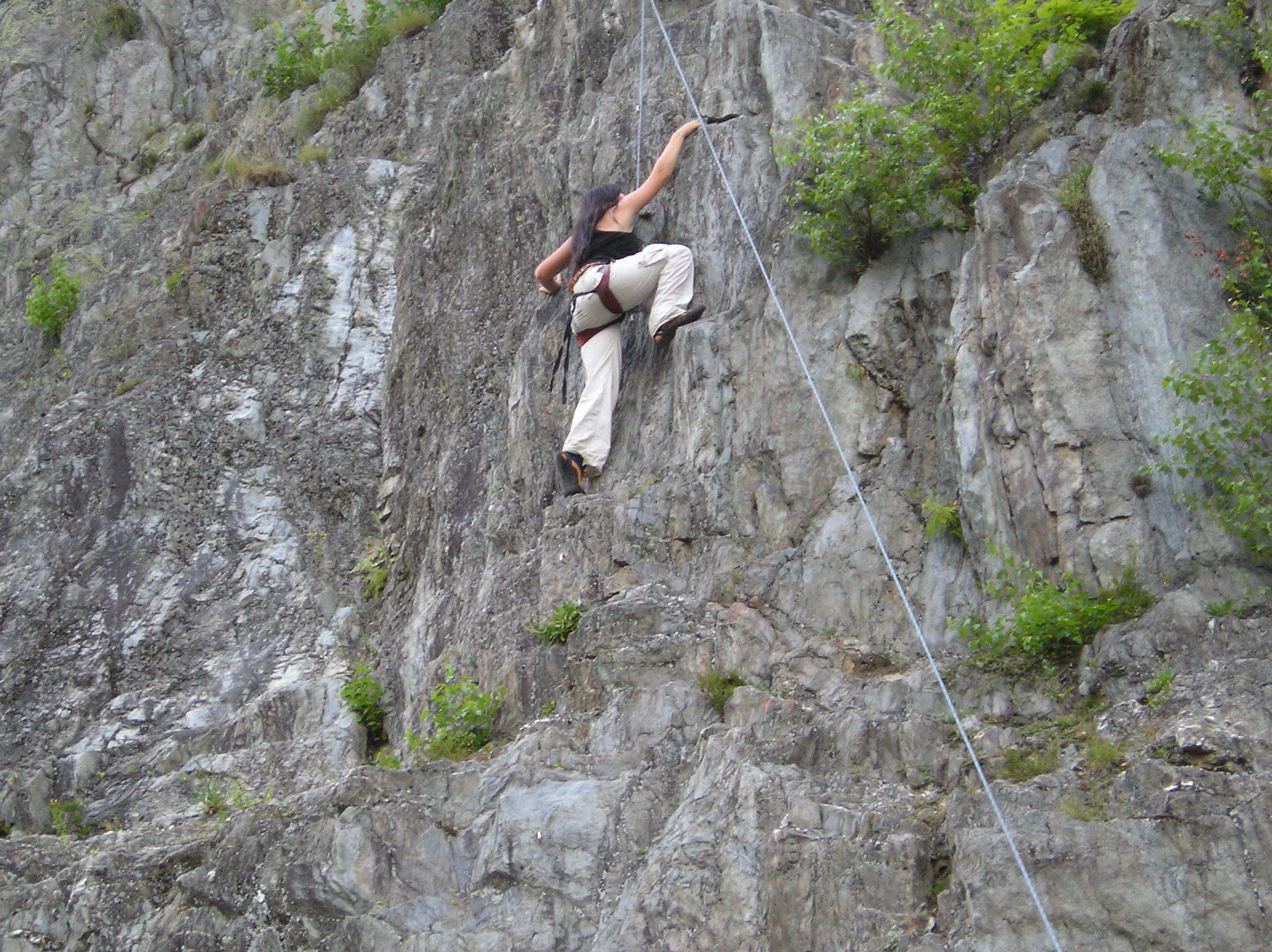Ivča