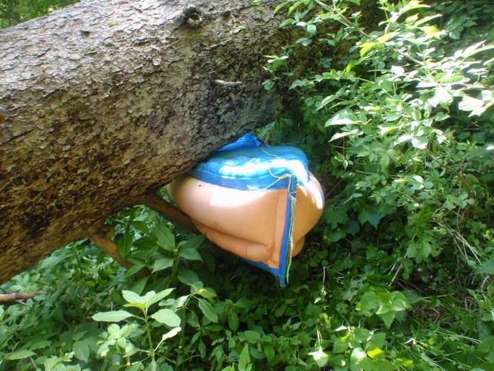 pod stromem
