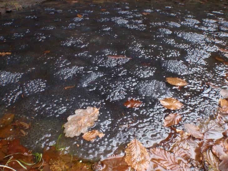 ČeskoSaské švícarsko 2012
