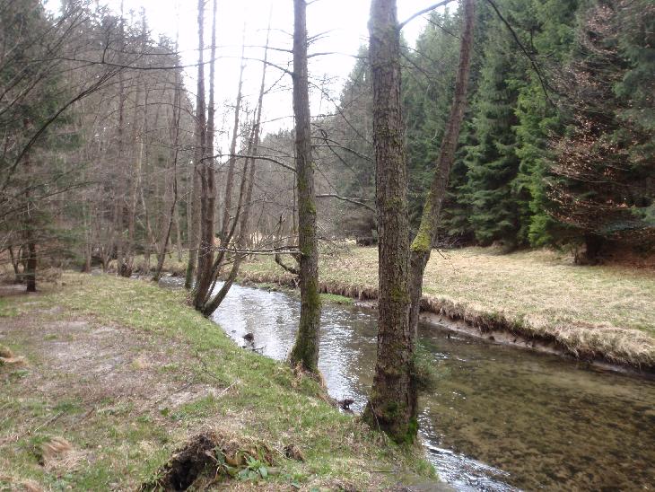 ČeskoSaské švícarsko 2012