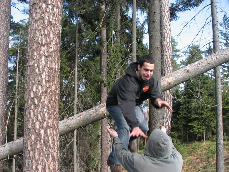 Naštěstí mě datel zachránil:D