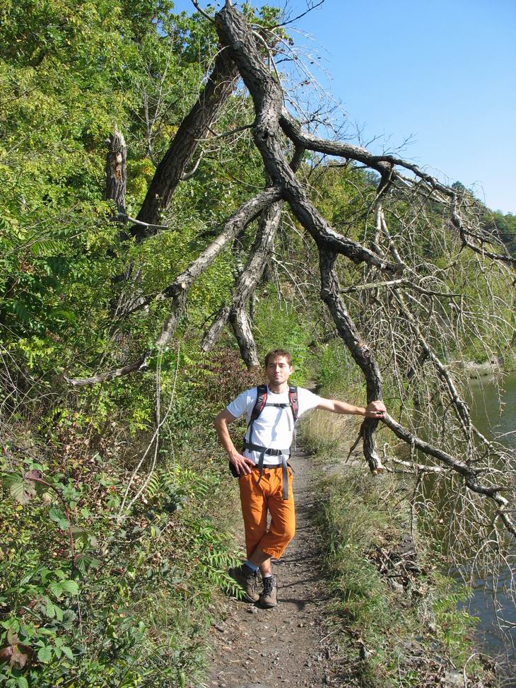 U tohohle stromu se jako první vyfotil datel...ale aby nemachroval že má neco co my ne tak sme se postupně vystřídali všichni:D