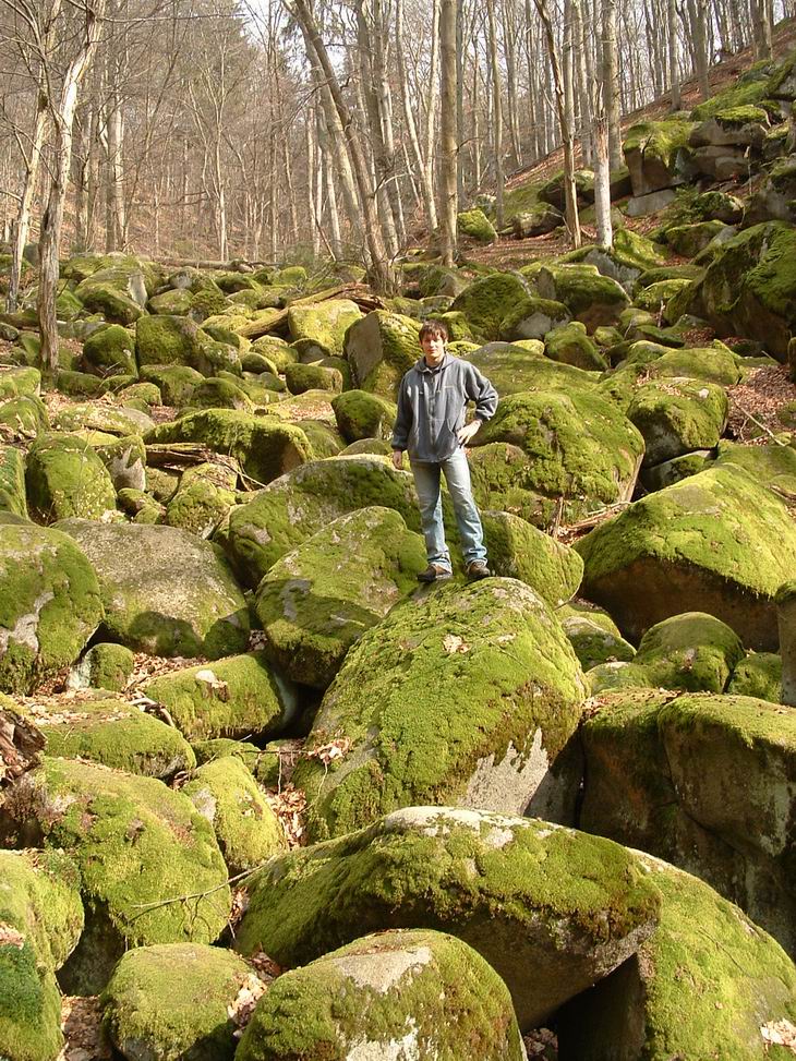 Datlochata V a půl