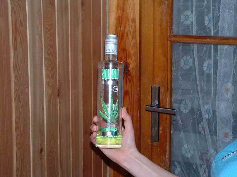 Silvestr v Herlíkovicích 2004