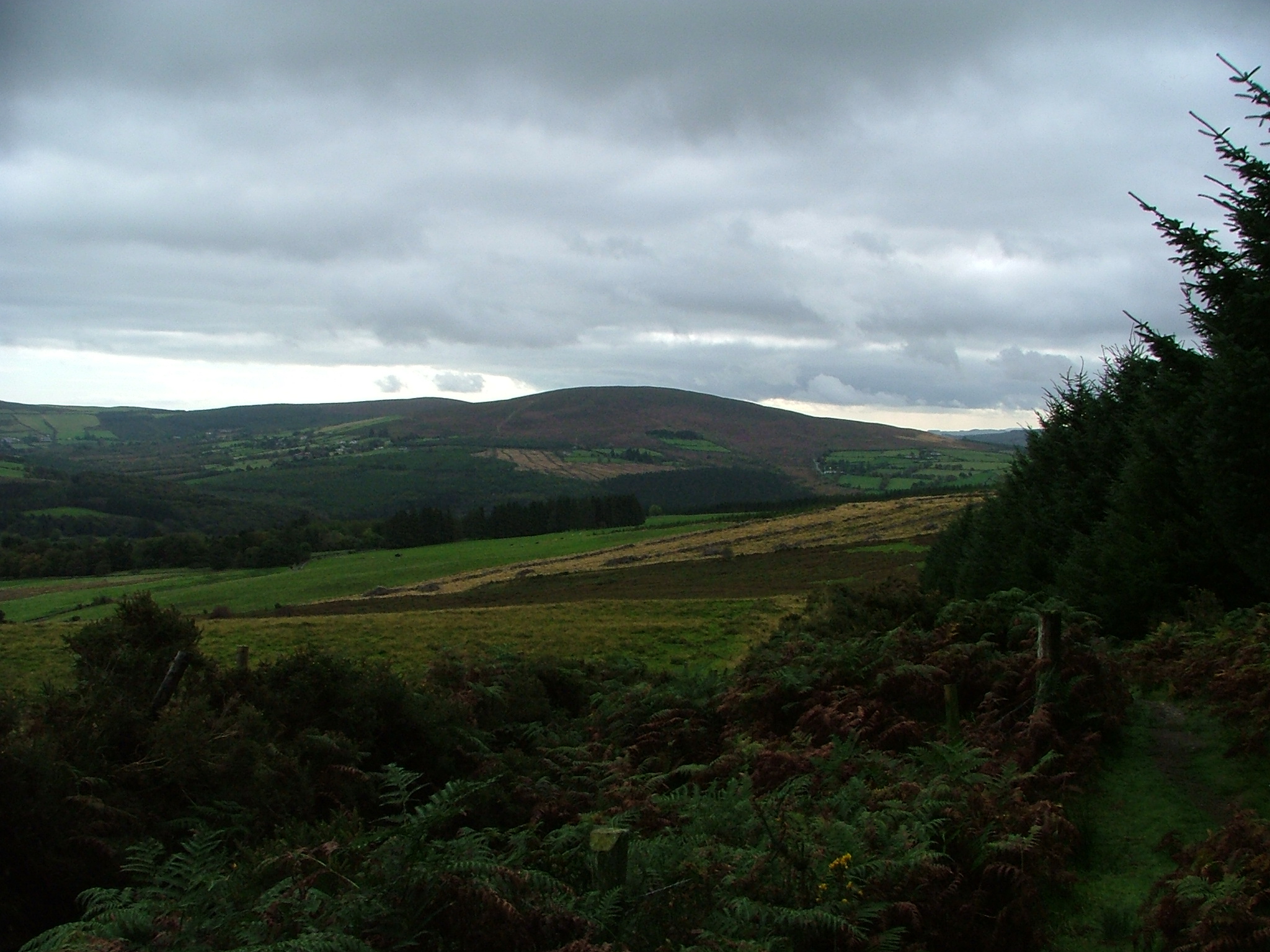 opět na Wicklow way...