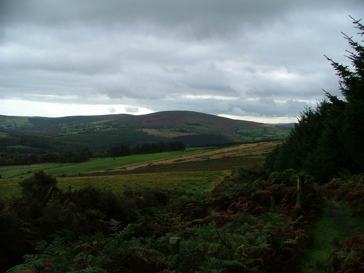 opět na Wicklow way...