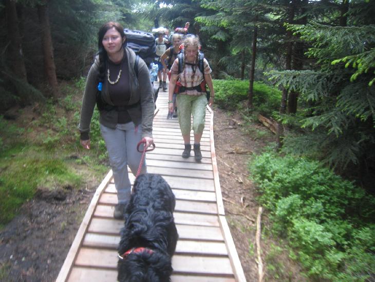 cesta dál ubíhala
