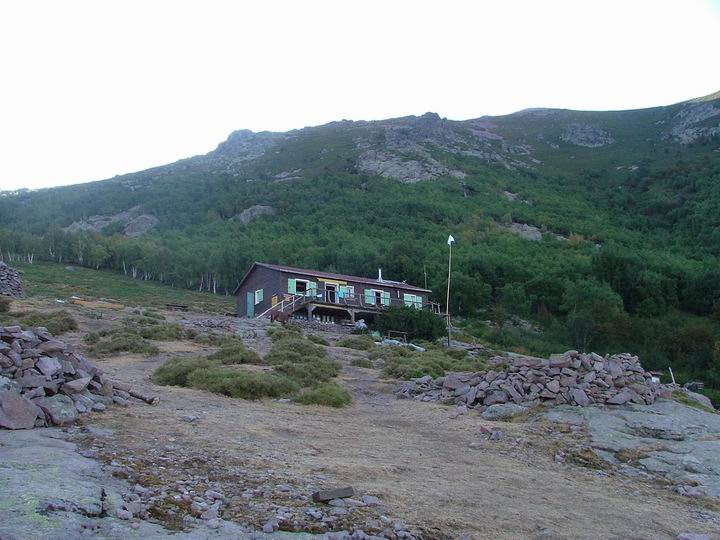 Kosika