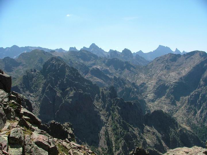 Kosika