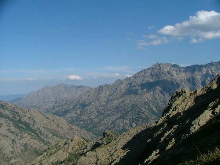 Kosika