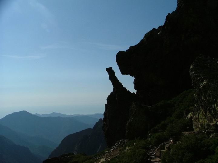 Kosika