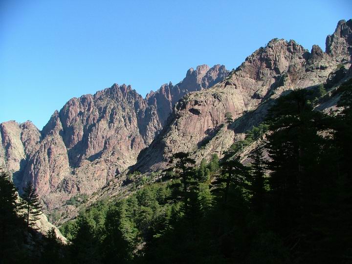 Kosika