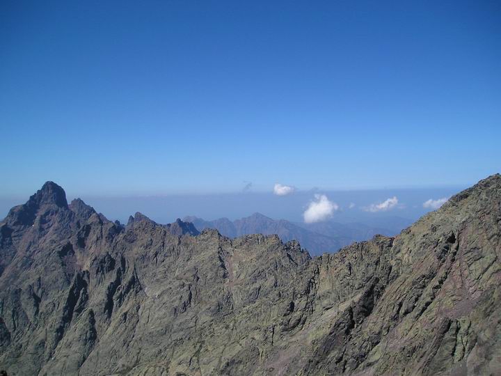 Kosika
