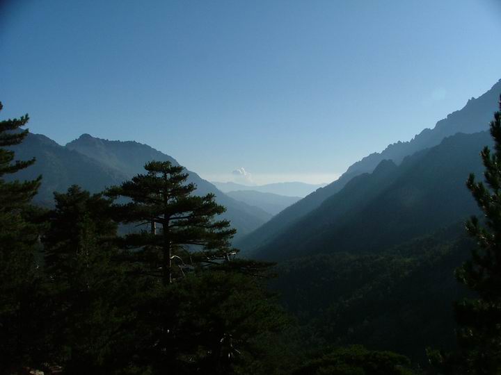 Kosika