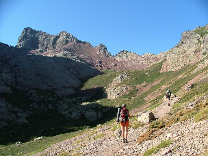 Kosika