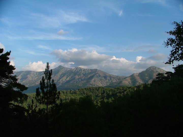 Kosika