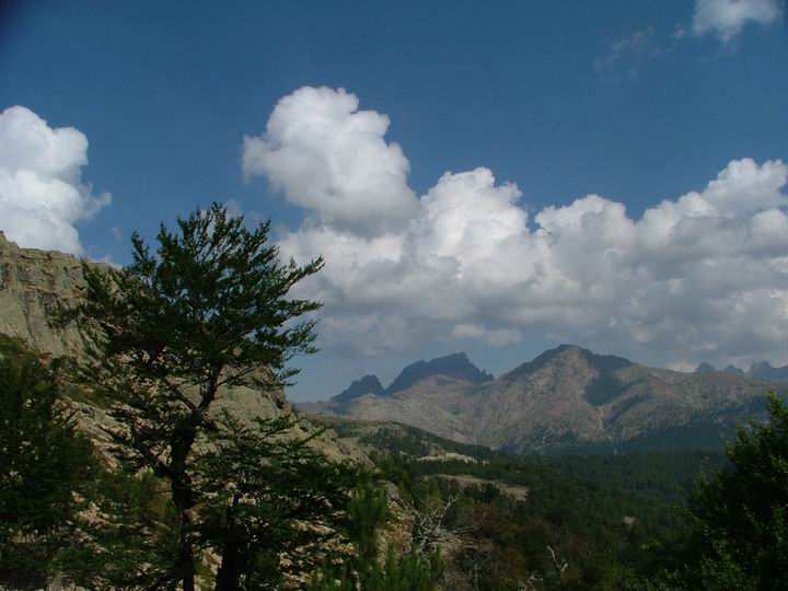 Kosika