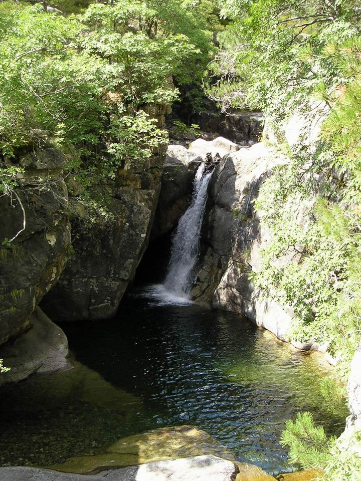 Kosika