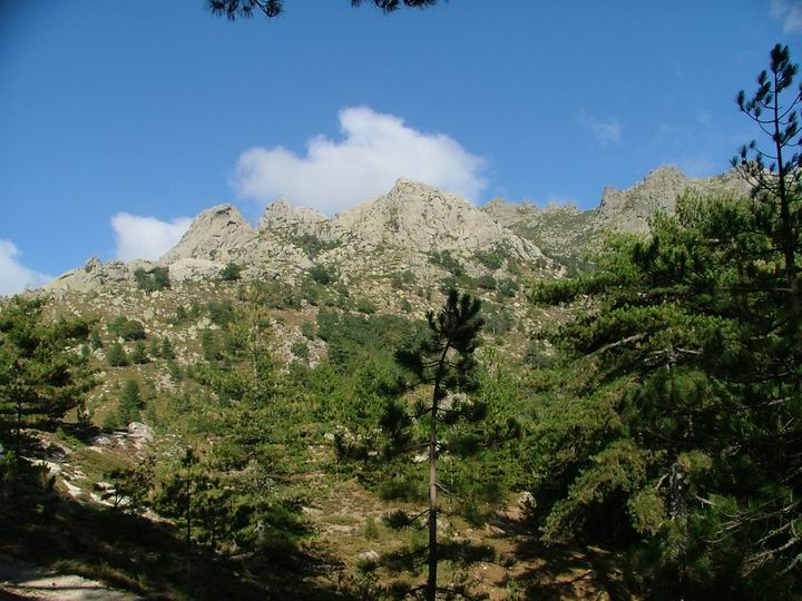 Kosika