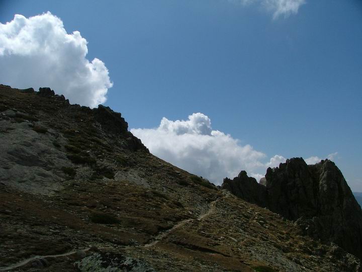 Kosika