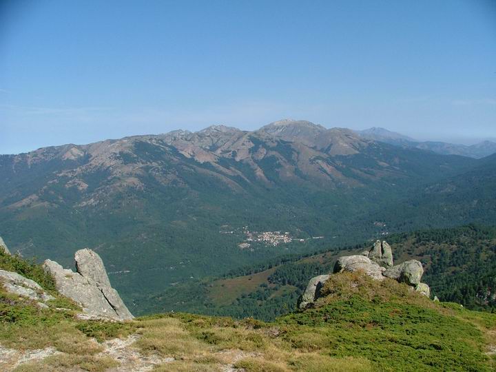 Kosika