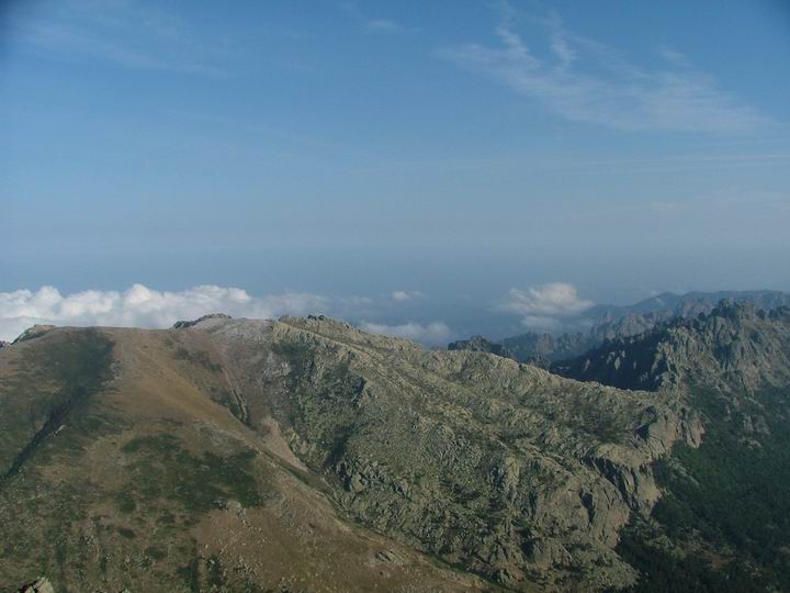 Kosika