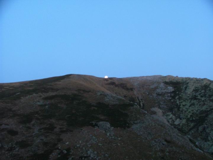 Kosika
