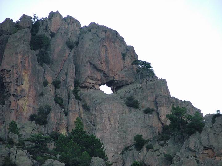 Kosika