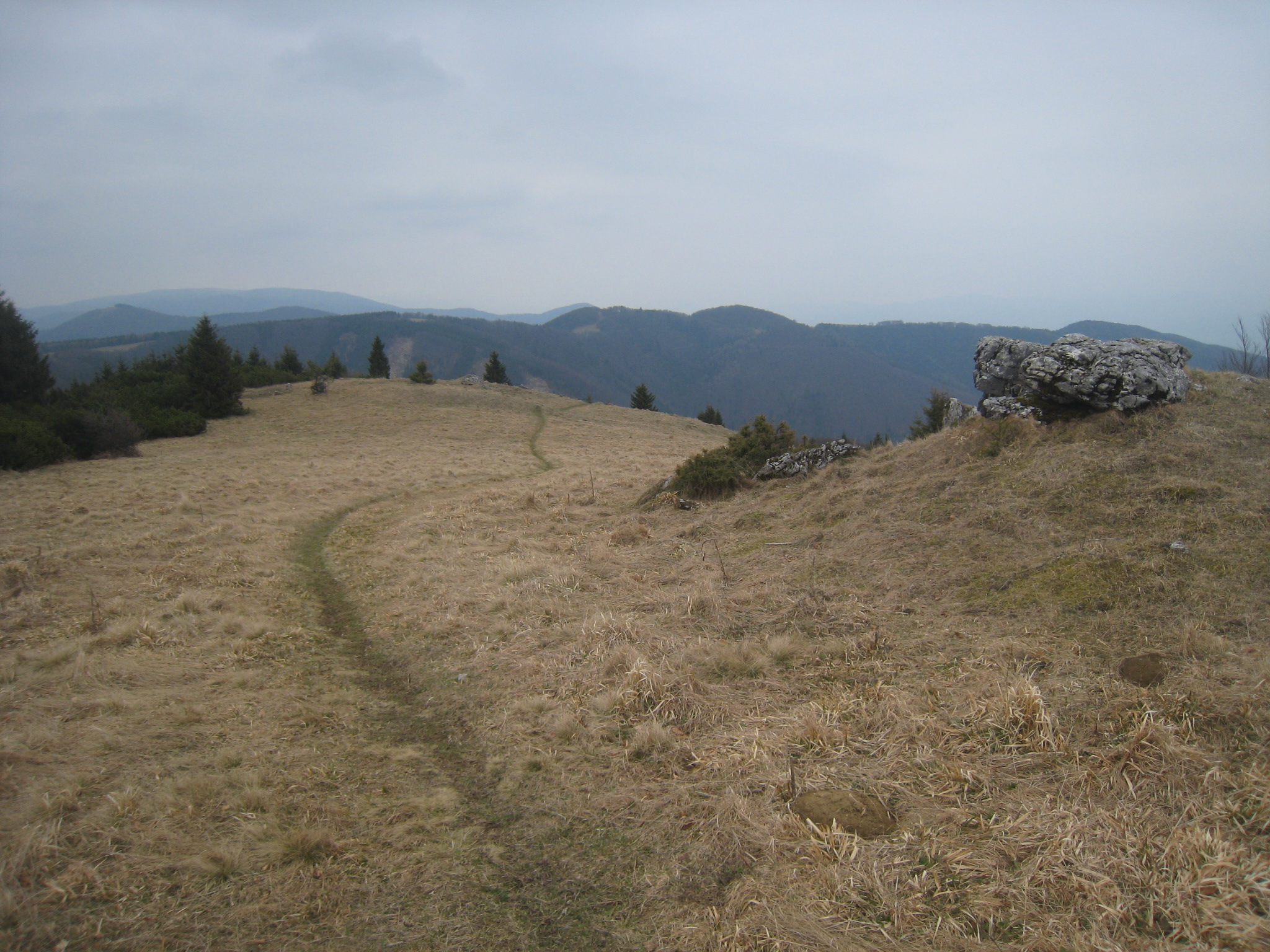 Skalky 1190 m.n.m., trochu to tu připomínalo Jizerky.