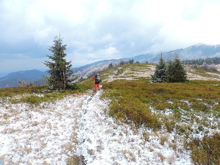 Anet vyráží napřed.