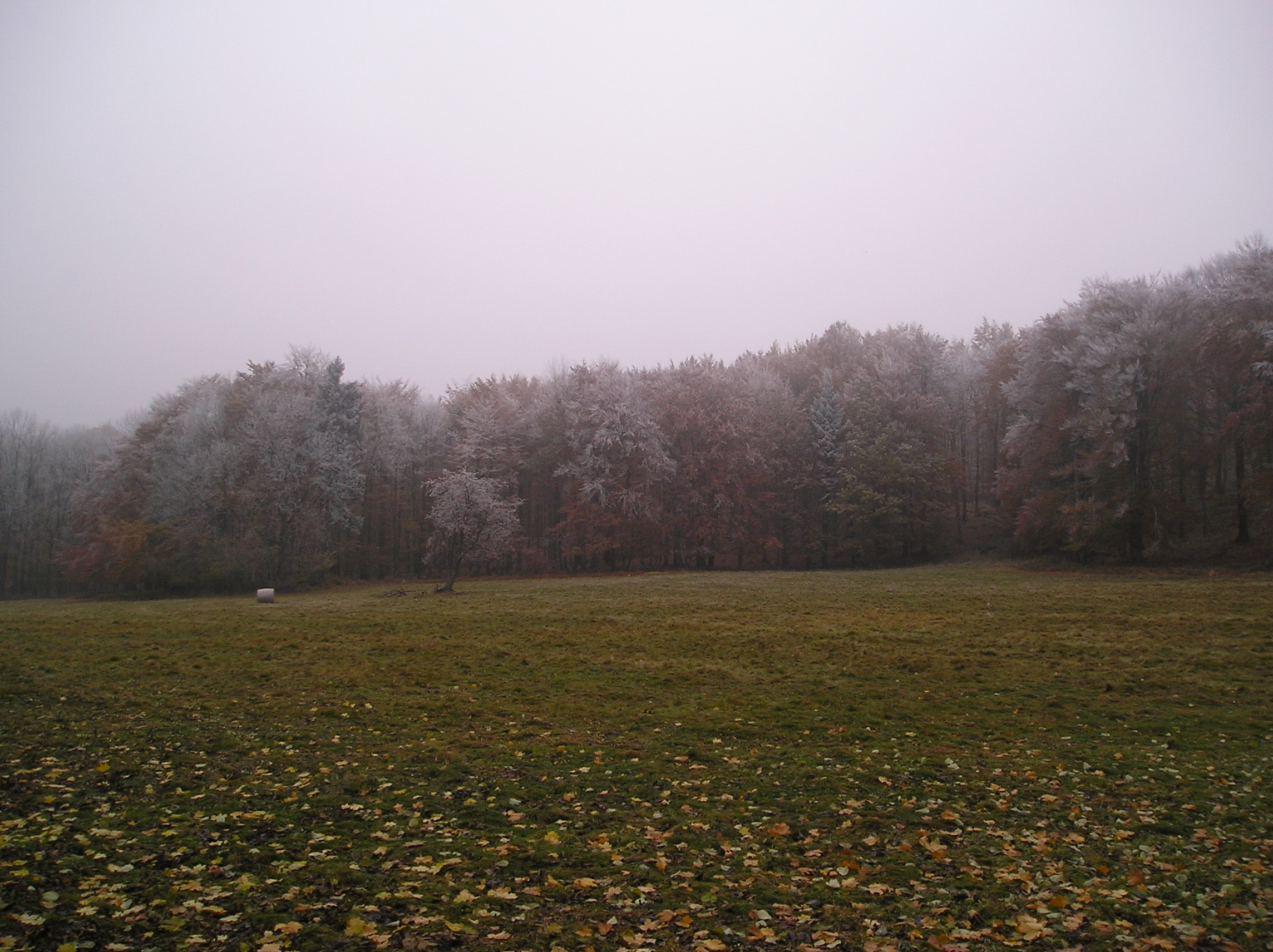 Tady bylo hromadné focení:-)