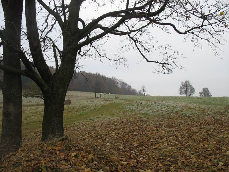610mnm. Sem jsme šli uplně zbytečně