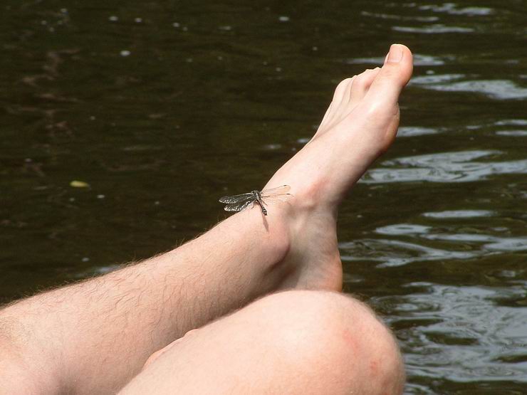 Vltava na Matylde