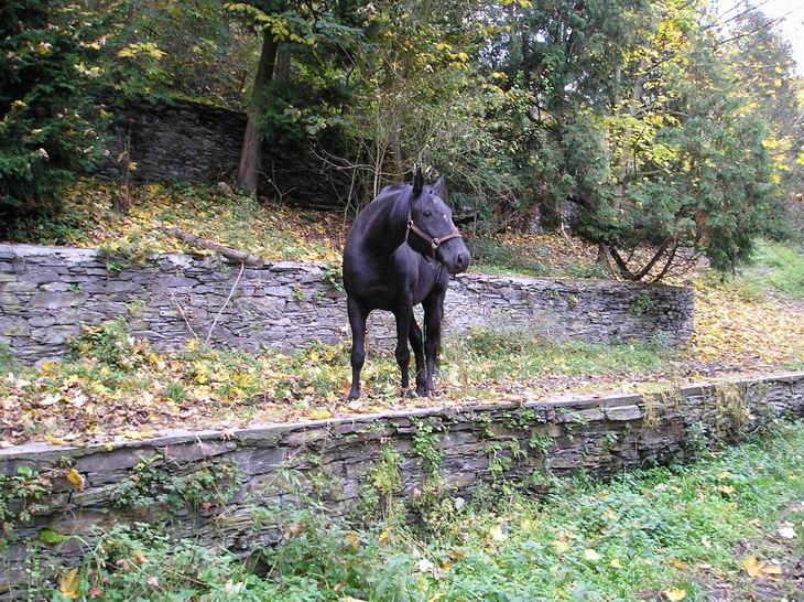 Mazba Střela III