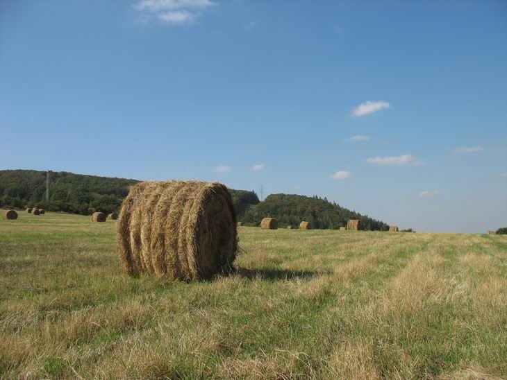 Brdskej vejlet