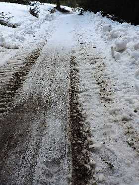 Nebyli by to Slovenské hory, abychom neviděli medvědí stopy.