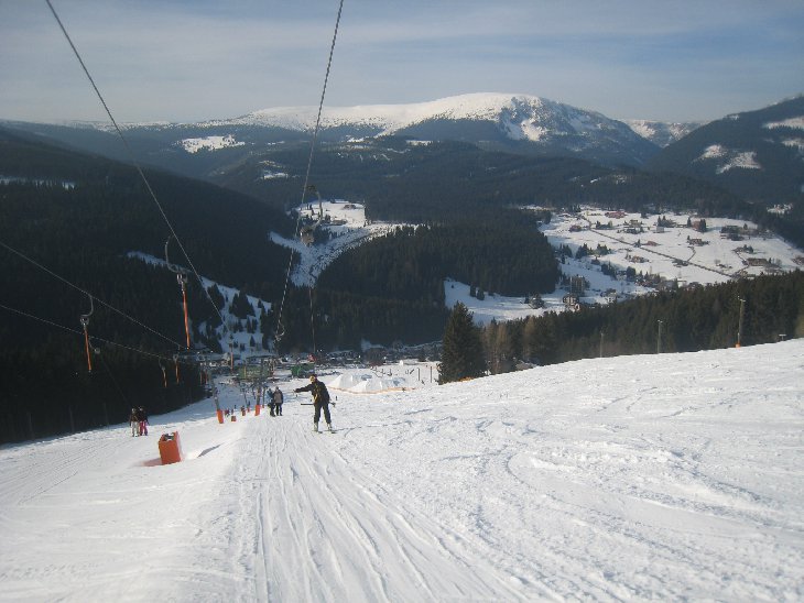 Javor