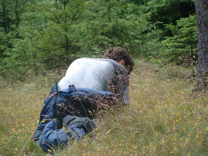 Tady někdo tvrdil že se mu po Fernetu nemůže udělat špatně a hleďme.