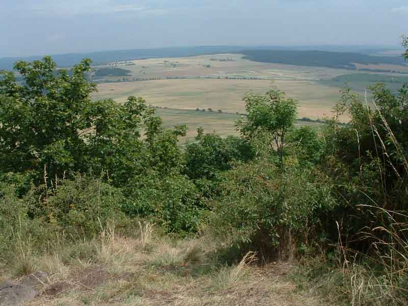 Z Karlových Varů na tábor Žebrák