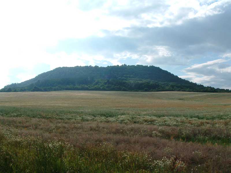 Vladař