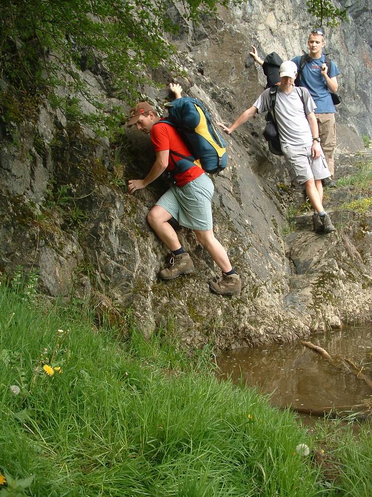 Ostatní to nejakym zpusobem dali....